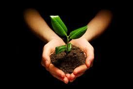 Compost
