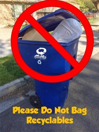 no Plastic 2