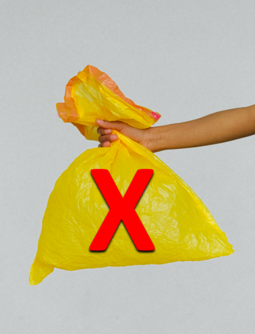 No Bags 1